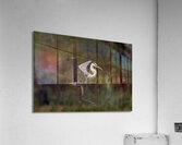BIR 01722 Acrylic Print