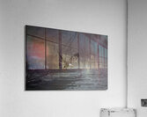 BIR 01729 Acrylic Print