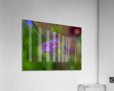 FLO 01792 Acrylic Print