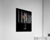 FLO 01804 Acrylic Print