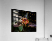 FLO 01770 Acrylic Print