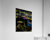 FLO 01820 Acrylic Print