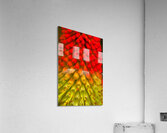 FLO 01822 Acrylic Print