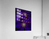 FLO 01780 Acrylic Print