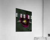 FLO 01799 Acrylic Print