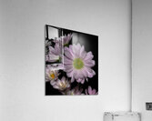 FLO 01761 Acrylic Print