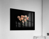 FLO 01816 Acrylic Print