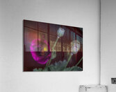 FLO 01789 Acrylic Print