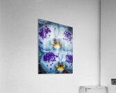 FLO 01813 Acrylic Print