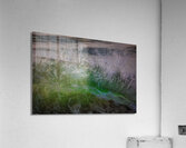 WAT 01880 Acrylic Print