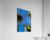 MIS 01914 Acrylic Print