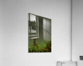 MIS 01932 Acrylic Print