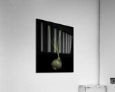 MIS 01921 Acrylic Print