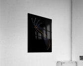 *MIS 01923 Acrylic Print
