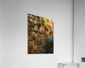 MIS 01925 Acrylic Print