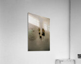 MIS 01930 Acrylic Print