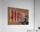MIS 01920 Acrylic Print