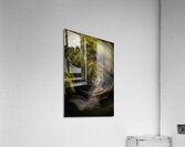 ABS 01981 Acrylic Print