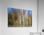 ABS 01971 Acrylic Print