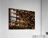 ABS 01954 Acrylic Print