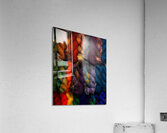 ABS 01963 Acrylic Print