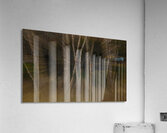 ABS 01995 Acrylic Print