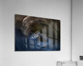 ABS 01976 Acrylic Print