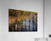 ABS 01978 Acrylic Print