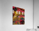 ABS 01961 Acrylic Print