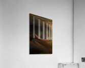 ABS 01984 Acrylic Print
