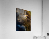 ABS 01975 Acrylic Print