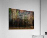 ABS 01968 Acrylic Print