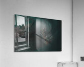ABS 01945 Acrylic Print