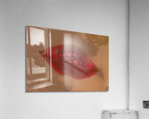 ABS 01950 Acrylic Print