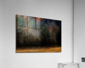 ABS 01967 Acrylic Print