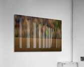 ABS 01970 Acrylic Print