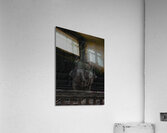 ABS 01955 Acrylic Print