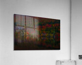 ABS 02022 Acrylic Print