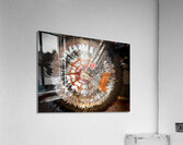 ABS 02023 Acrylic Print