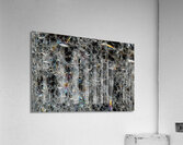 ABS 02027 Acrylic Print