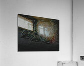 ABS 02024 Acrylic Print