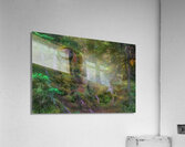 LAN 02047 Acrylic Print