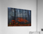 LAN 02068 Acrylic Print