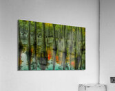 LAN 02090 Acrylic Print