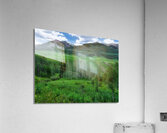 LAN 02073 Acrylic Print