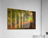 LAN 02038 Acrylic Print