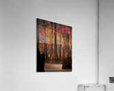 LAN 02088 Acrylic Print