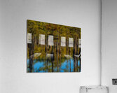 LAN 02091 Acrylic Print