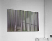 LAN 02060 Acrylic Print