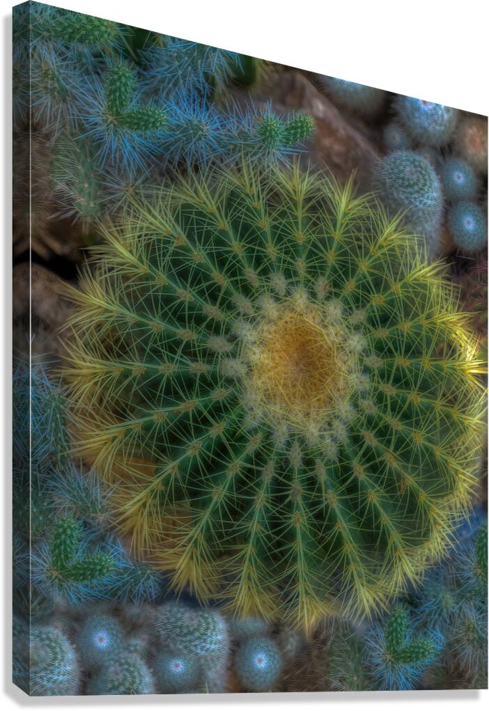 FLO 02291 Canvas Print